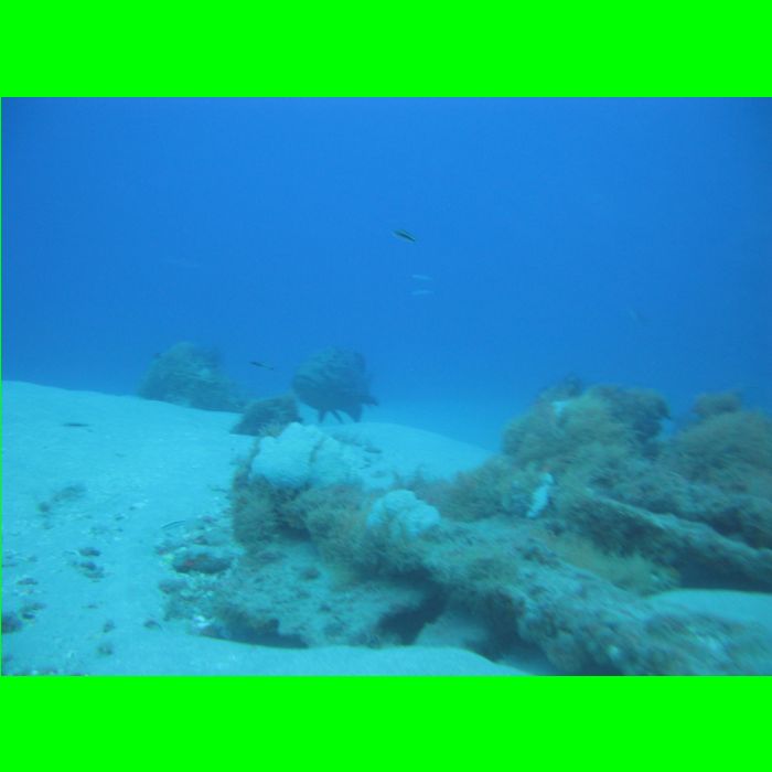 Dive WP Wrecks 25-Oct-09_349.JPG